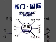 Guangdong Federal-Mogul Industrial Co., Ltd. Введение продукции